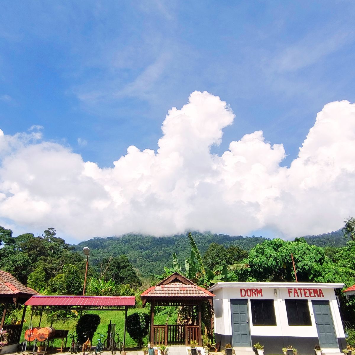 My River Village in Kuak, Lenggong, Perak